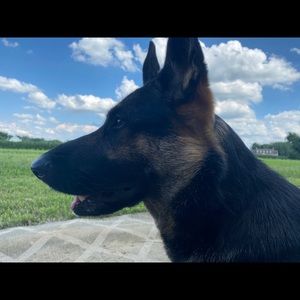 Meet your Posher, Brett